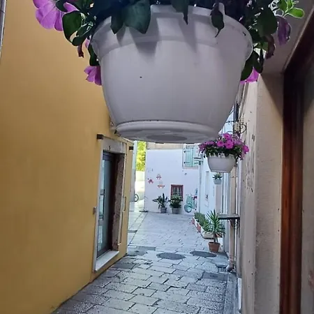 Holiday home Townhouse Sea View *